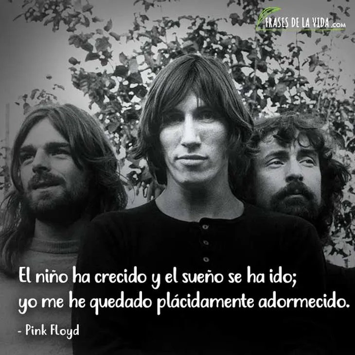417 82414 - Frases Pink Floyd
