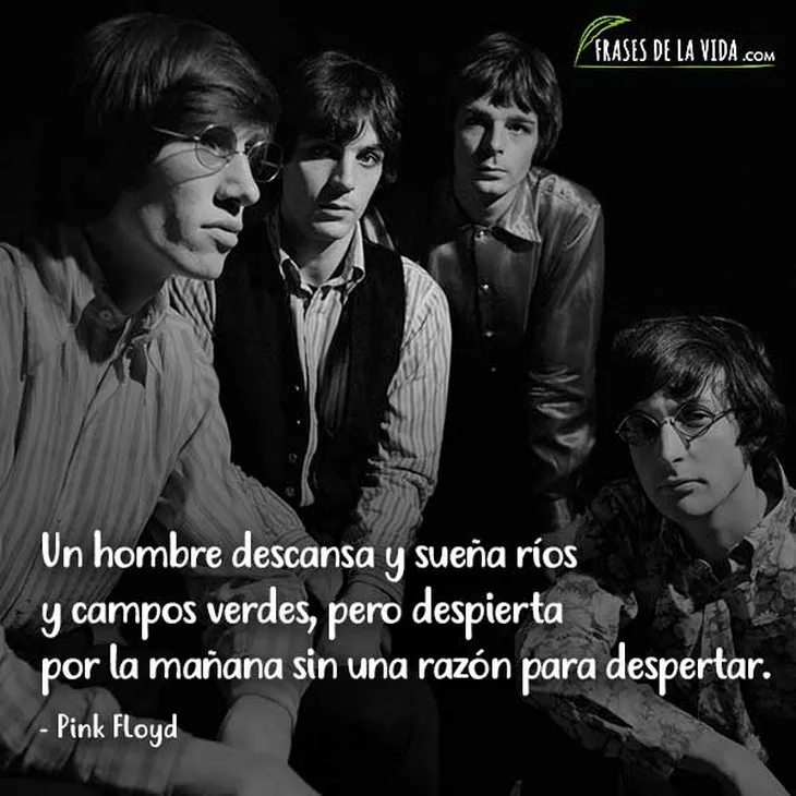 417 82415 - Frases Pink Floyd