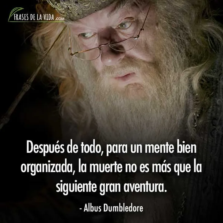 4191 42951 - Frases De Dumbledore