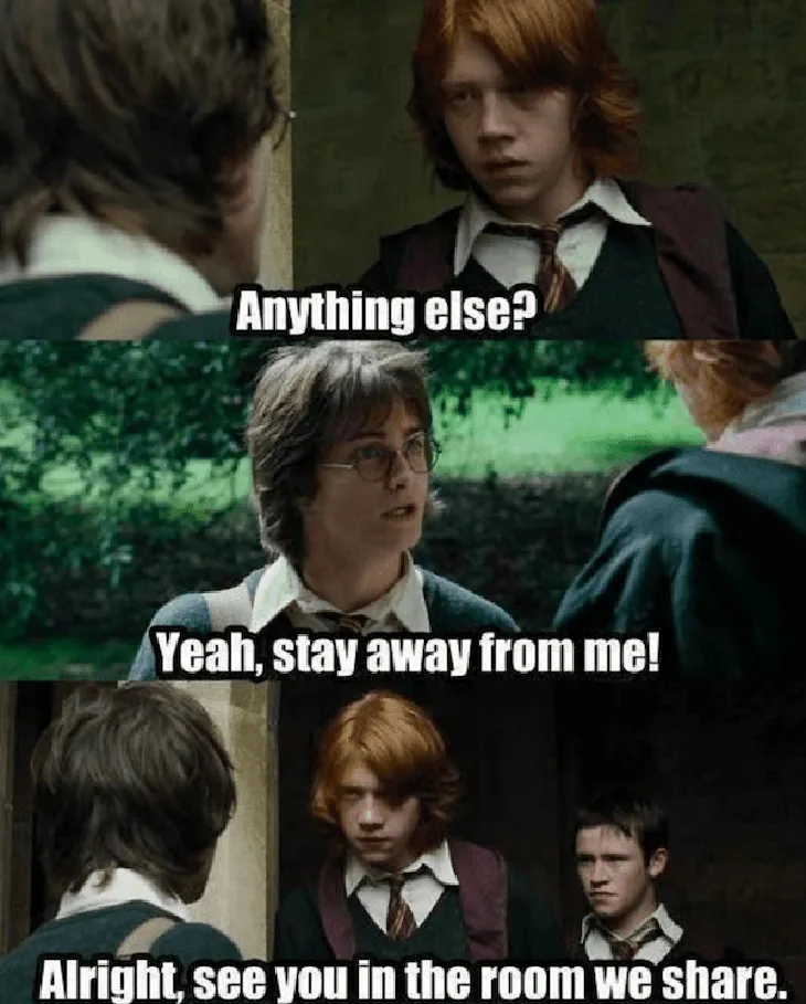 432 76125 - Memes Harry Potter