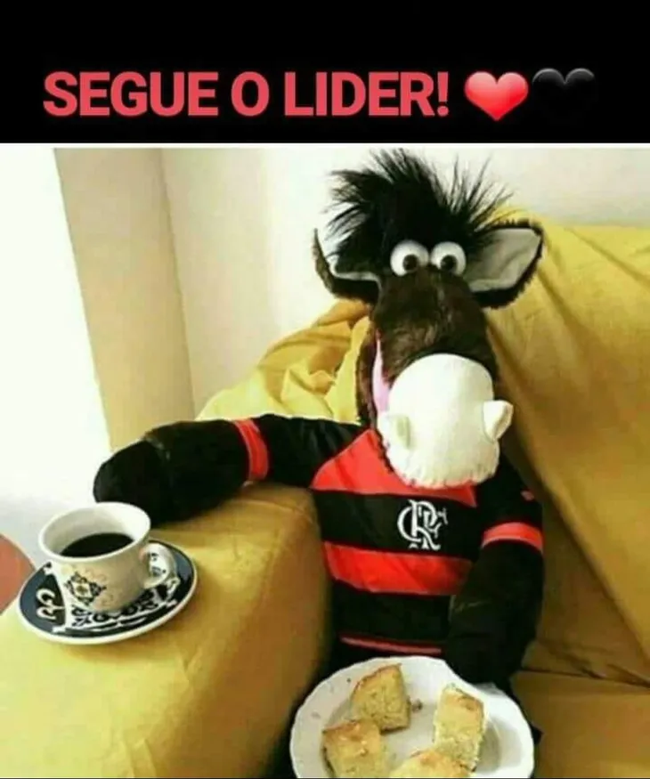 4325 103064 - Segue O Lider Flamengo Memes