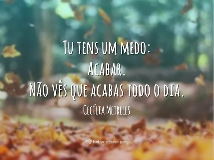 4389 56803 - Cecilia Meireles Frases