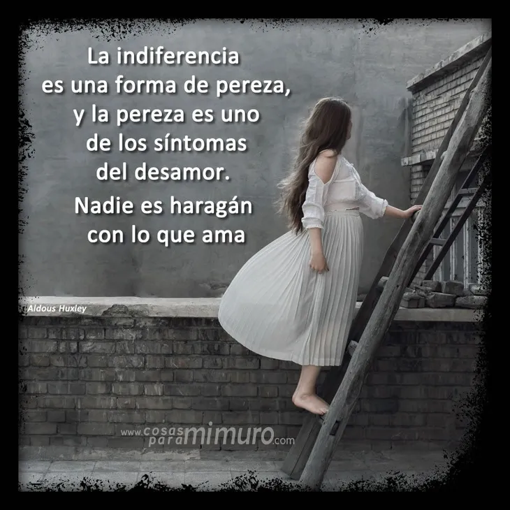 4420 59978 - Frases De Indiferencia