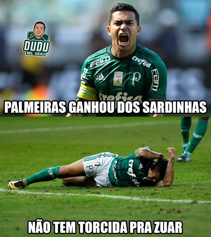 452 112448 - Memes Zuando O Palmeiras