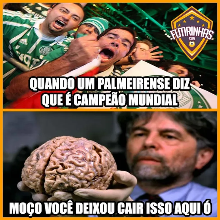 452 112460 - Memes Zuando O Palmeiras