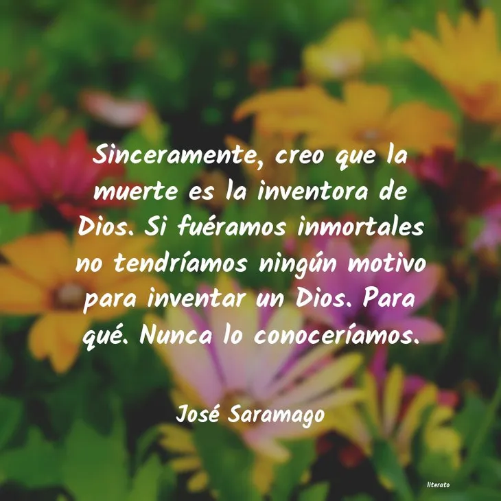 4532 12492 - Frase De José Saramago