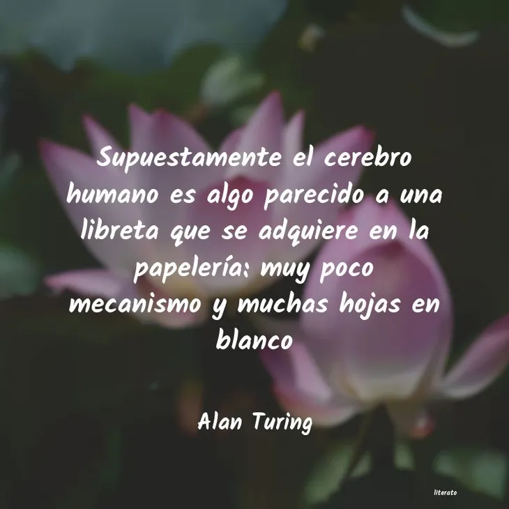 4557 87150 - Alan Turing Frases