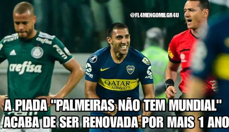 4563 46629 - Memes Do Palmeiras