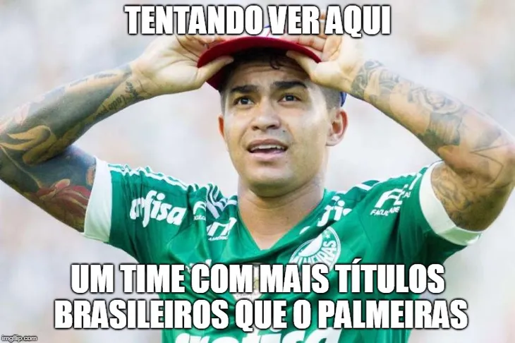 4563 46631 - Memes Do Palmeiras