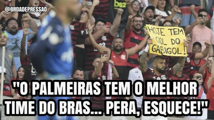 4563 46639 - Memes Do Palmeiras