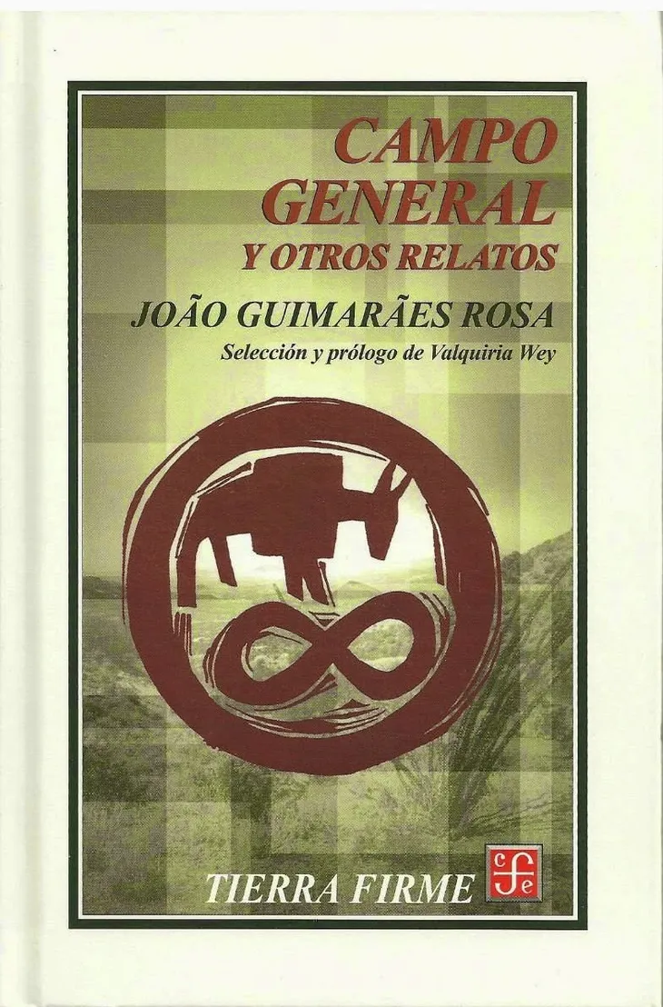 4585 91907 - Guimarães Rosa Frases