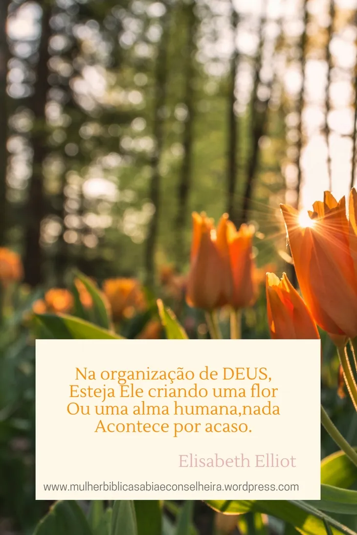 463 8396 - Elisabeth Elliot Frases