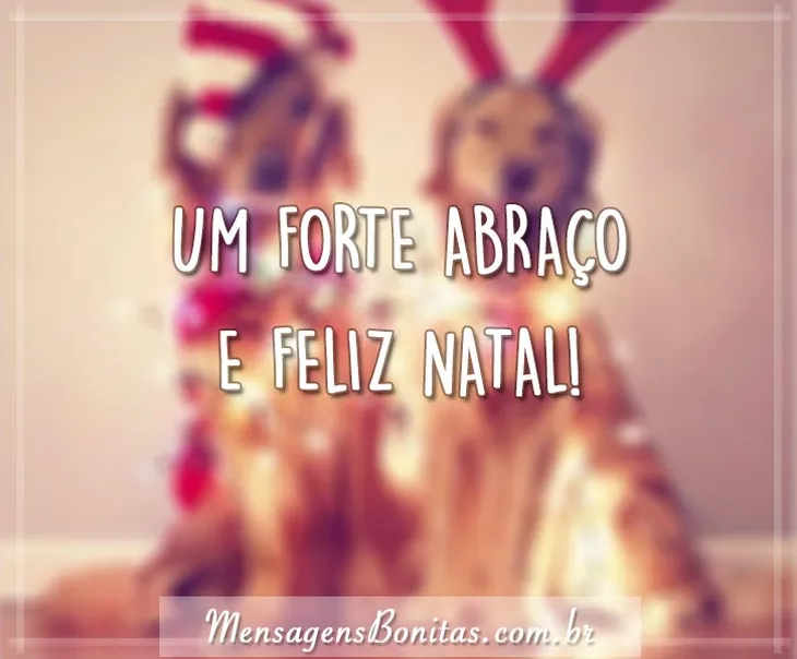 4640 81352 - Frases De Natal Para Amigos