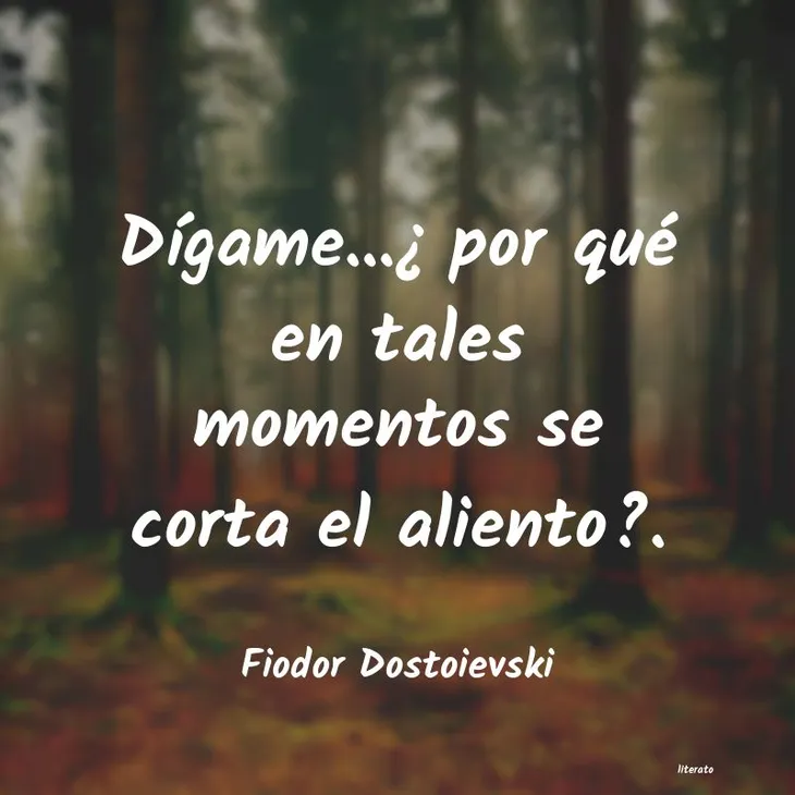 4662 102186 - Fiodor Dostoievski Frases