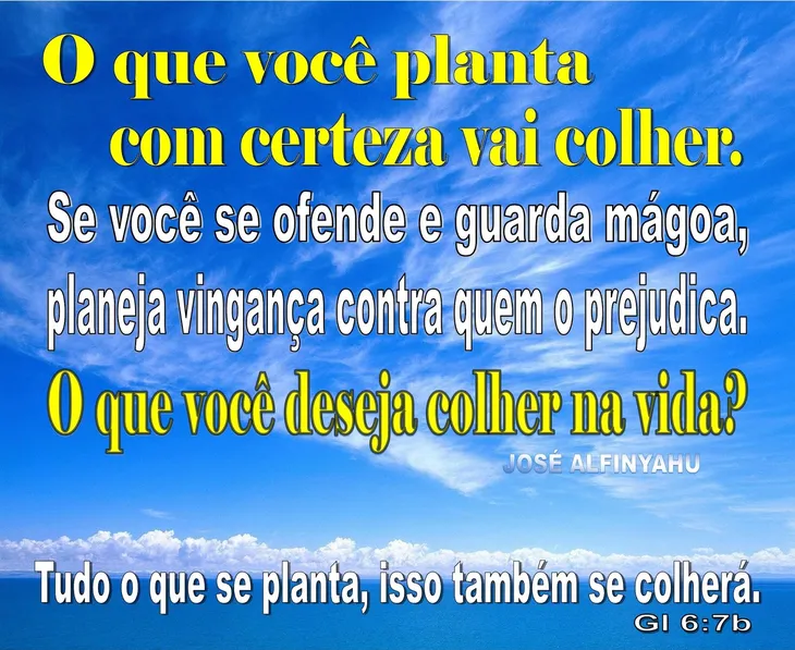 4753 99167 - Frases Sobre Plantar E Colher
