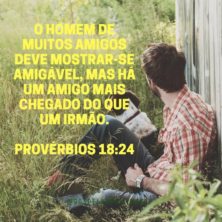 4755 90633 - Proverbio Amizade