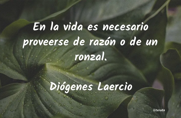 4789 86829 - Diogenes Frases