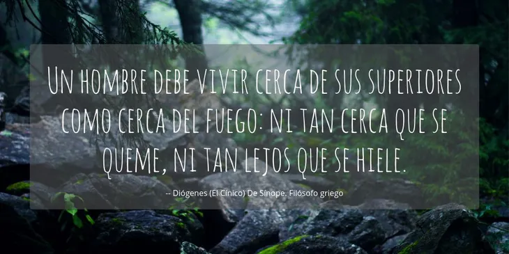 4789 86836 - Diogenes Frases