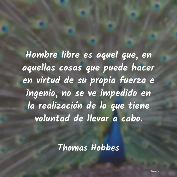 4973 50065 - Frases Thomas Hobbes