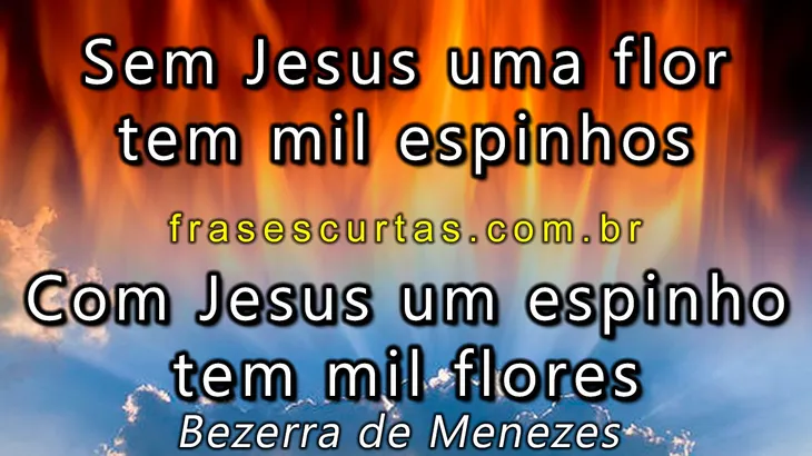 5004 21105 - Maledicência Frases