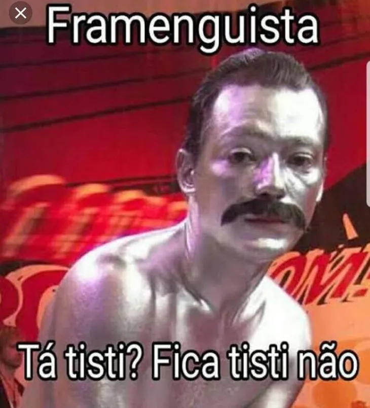 505 54359 - Memes Da Derrota Do Flamengo