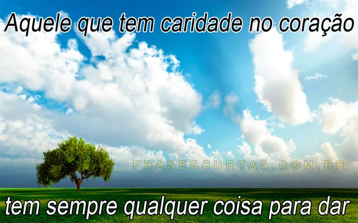 51 15332 - Caridade Frases