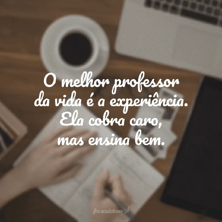 5270 67125 - Frases Sobre Ensinar