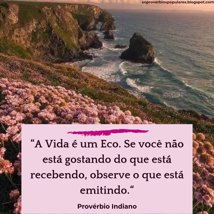 5325 35966 - A Vida É Um Eco