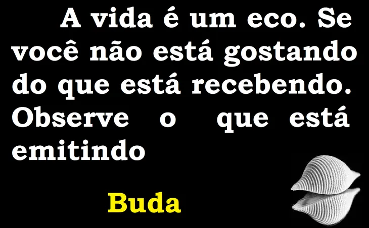 5325 35976 - A Vida É Um Eco