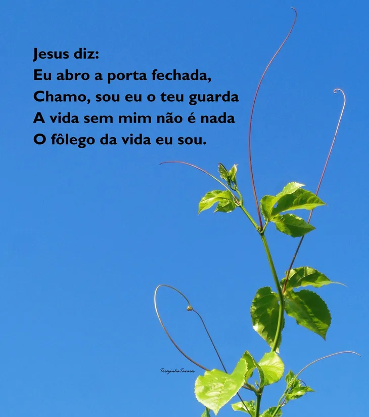 5346 35780 - Poema Jesus