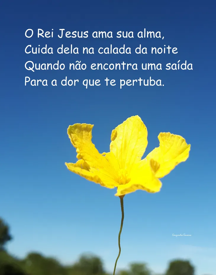 5346 35781 - Poema Jesus