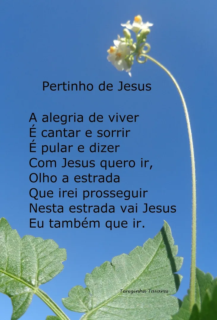 5346 35788 - Poema Jesus