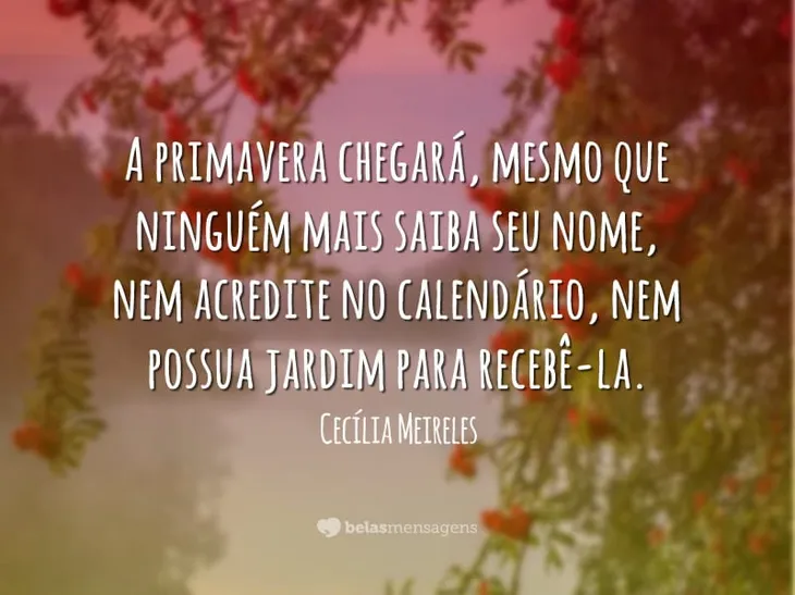 5362 80408 - Frases De Amor Cecilia Meireles