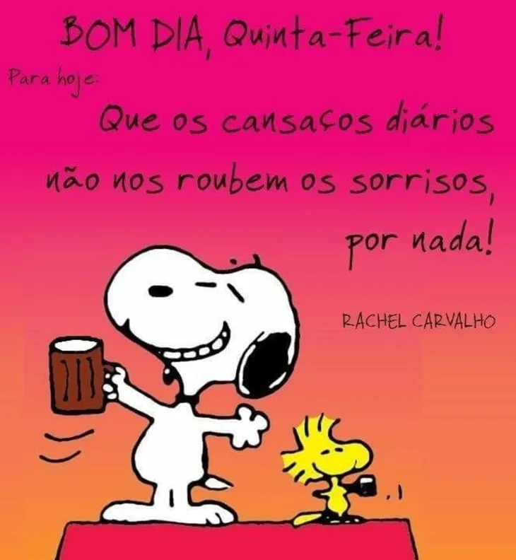 5364 80695 - Snoopy Frases