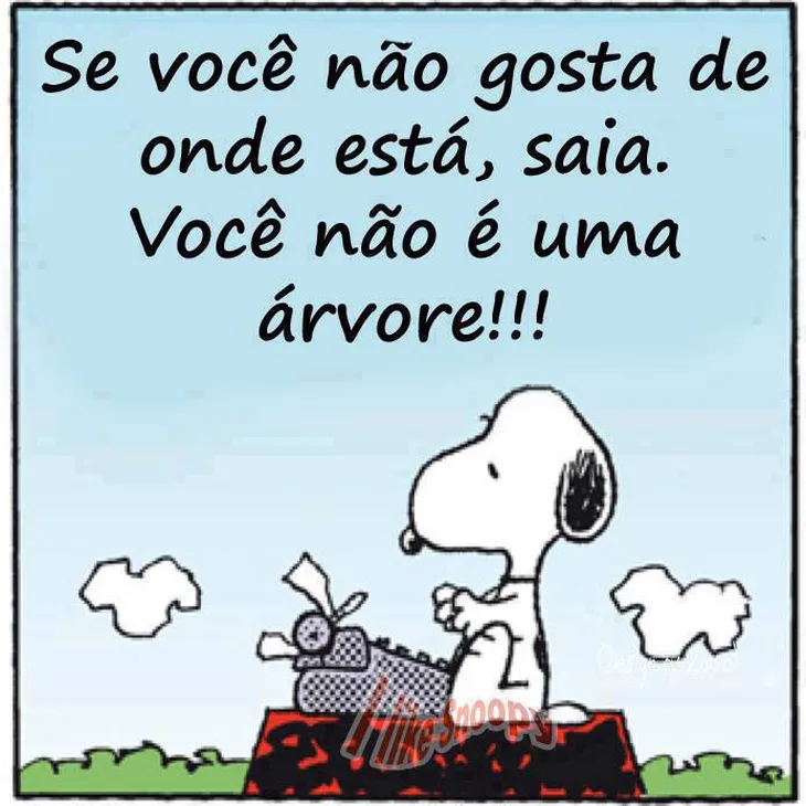 5364 80696 - Snoopy Frases