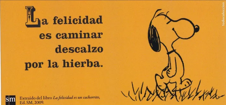 5364 80706 - Snoopy Frases