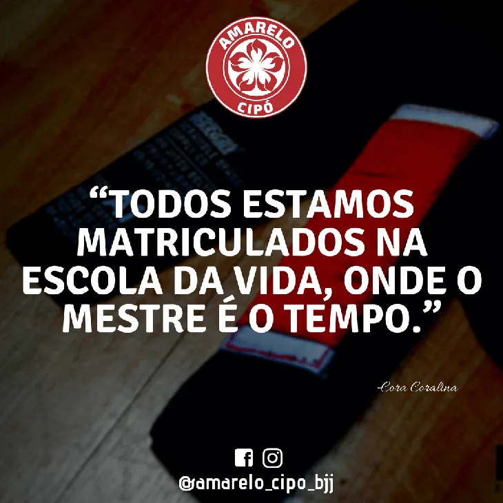 5509 64104 - Frases Sobre Mestre