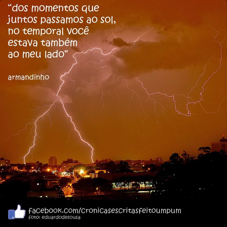 5511 80777 - Frases Armandinho