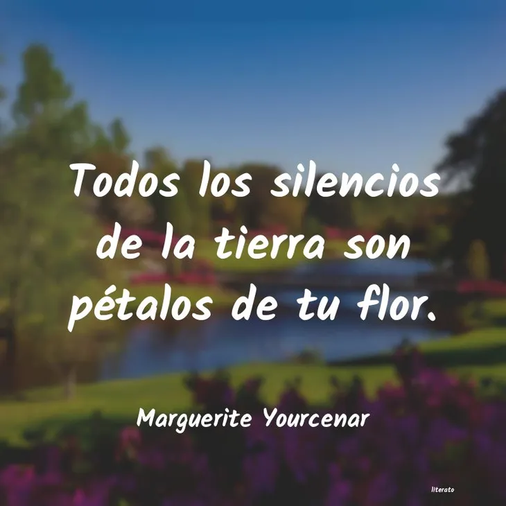 5519 81484 - Marguerite Yourcenar Frases