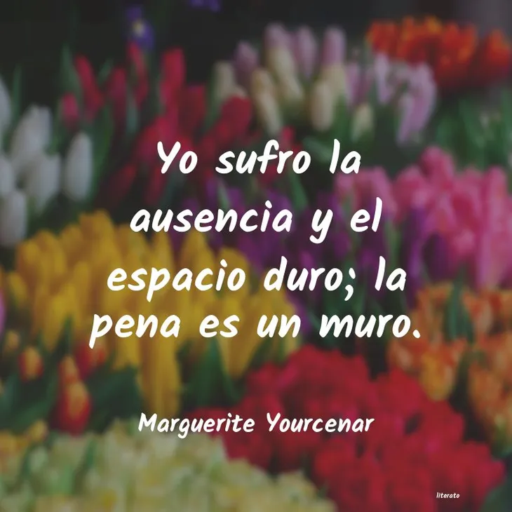 5519 81494 - Marguerite Yourcenar Frases