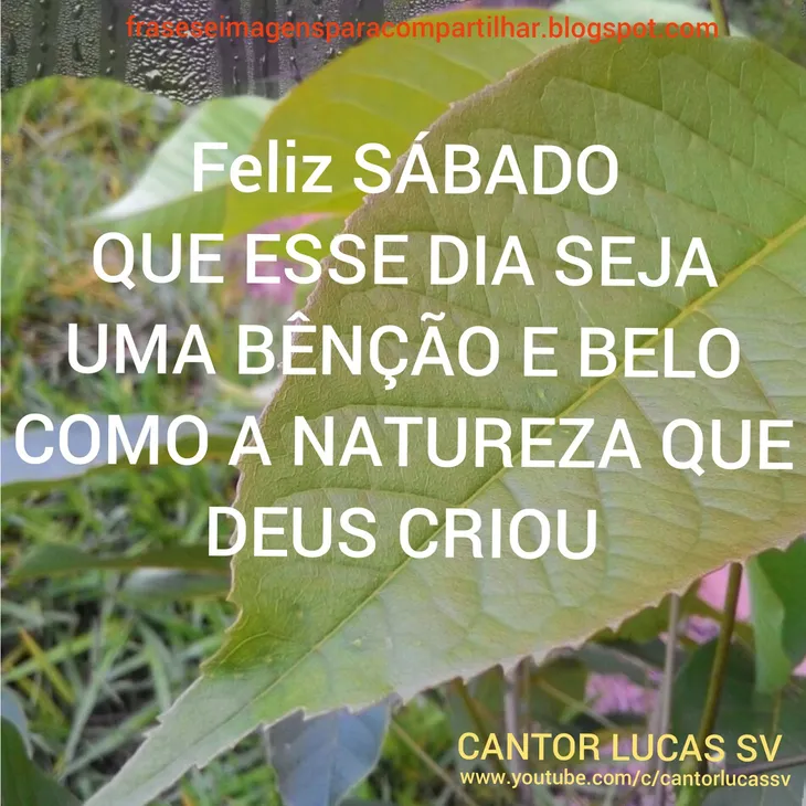 5546 66722 - Frases Do Belo Cantor