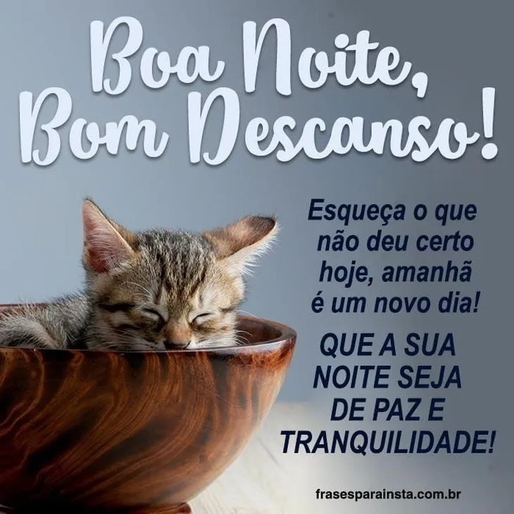 5556 1323 - Boa Noite Bom Descanso