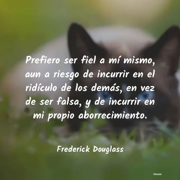 5560 47675 - Frederick Douglass Frases