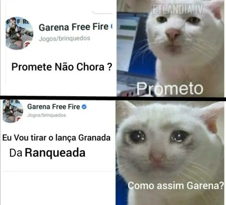 5620 78479 - Memes De Coração