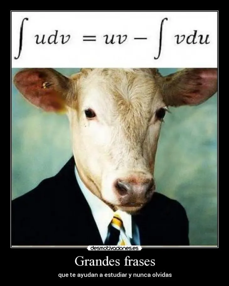 5672 111485 - Frases Para Vacas