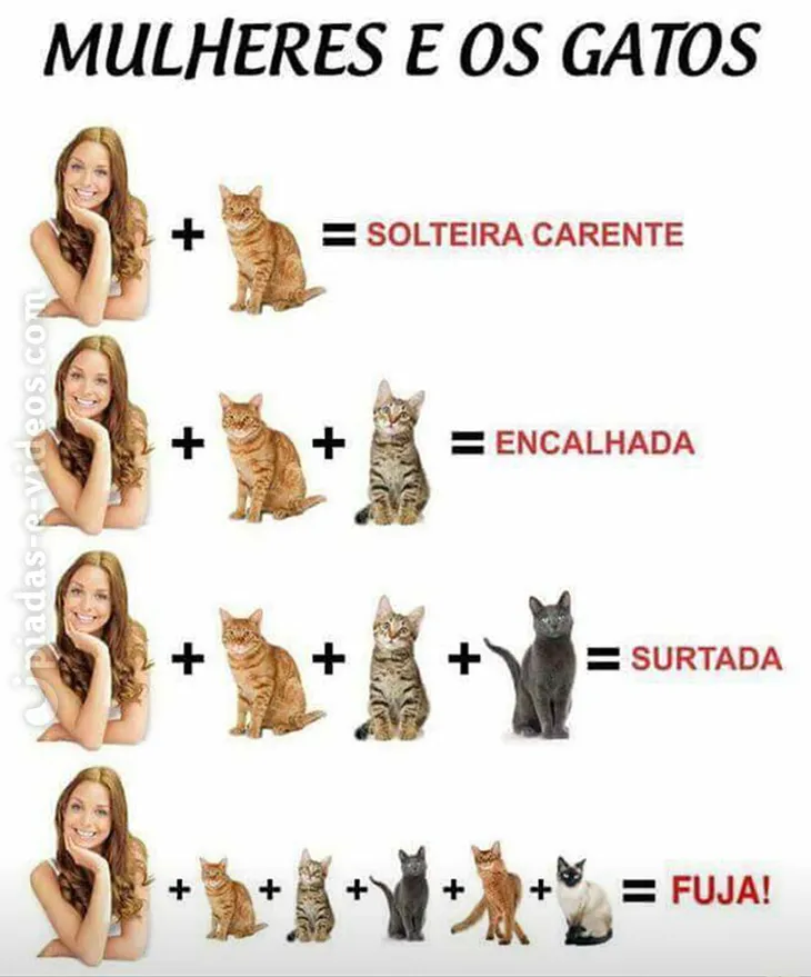 5714 36256 - Memes Com Gatos