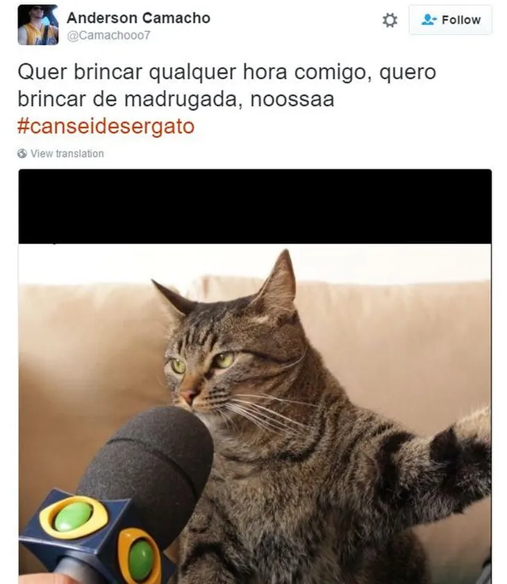 5714 36257 - Memes Com Gatos