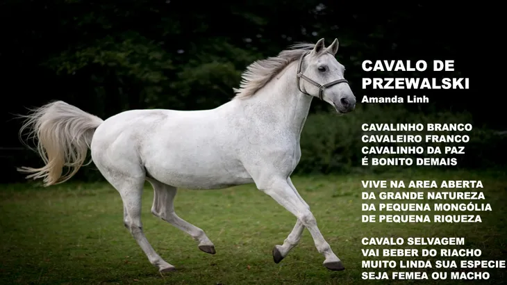 5759 44485 - Poemas Sobre Cavalos