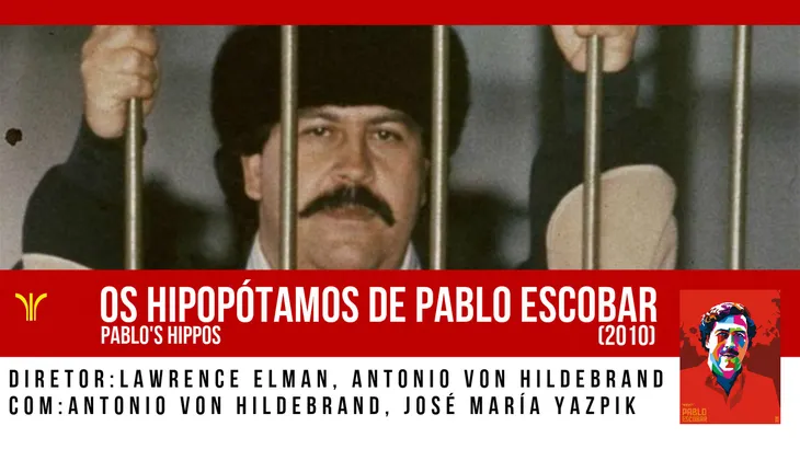 578 57962 - Frases De Pablo Escobar