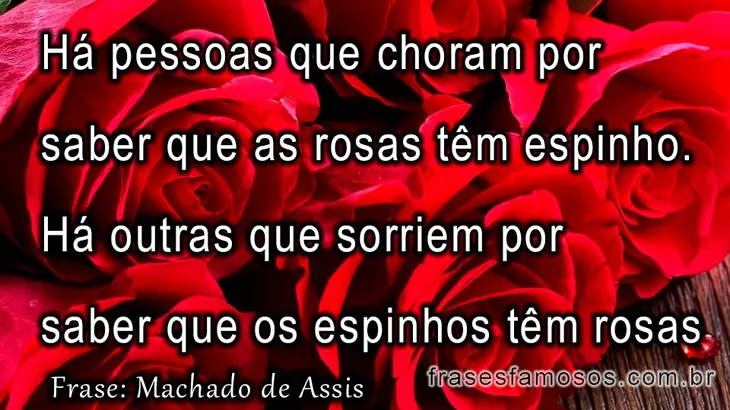 5809 5552 - Frases Sobre Rosas